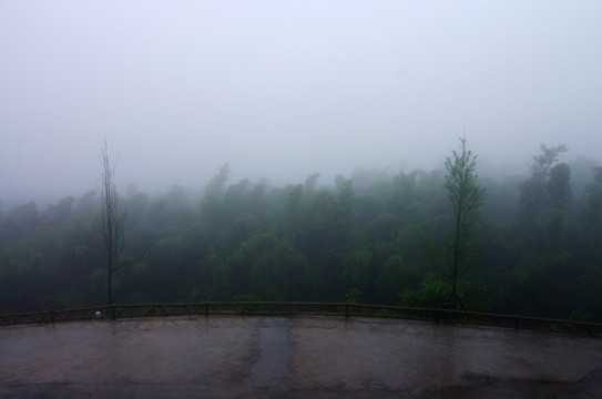 烟雨朦胧