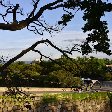 日本大阪城公园风光