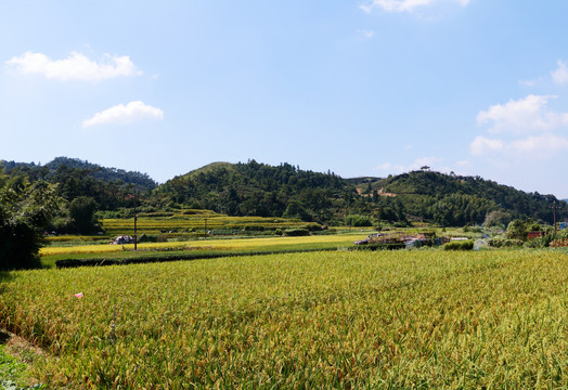 长龙风景