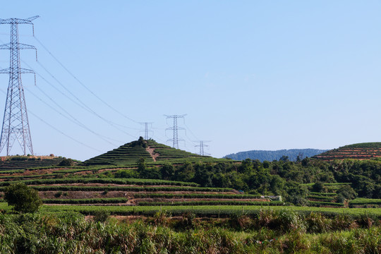 长龙风景