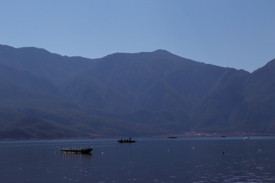 湖面孤舟上的海鸥