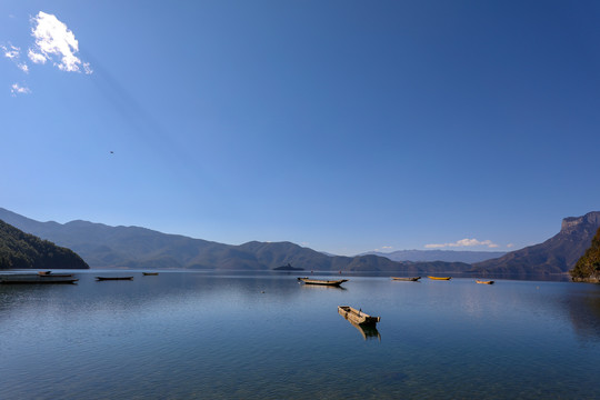 湖面孤舟上的海鸥