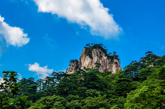 水墨黄山