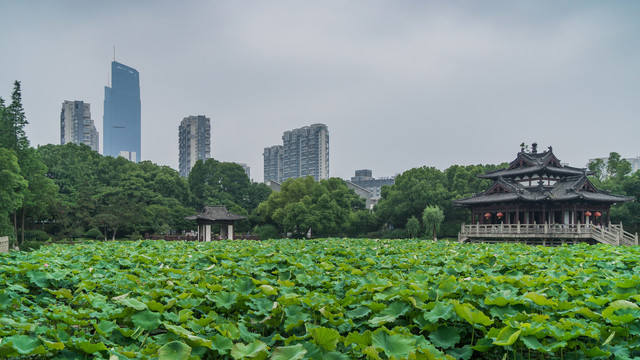 湖州飞英公园