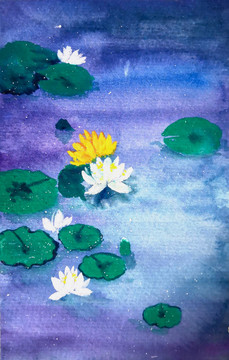 插畫(huà)睡蓮