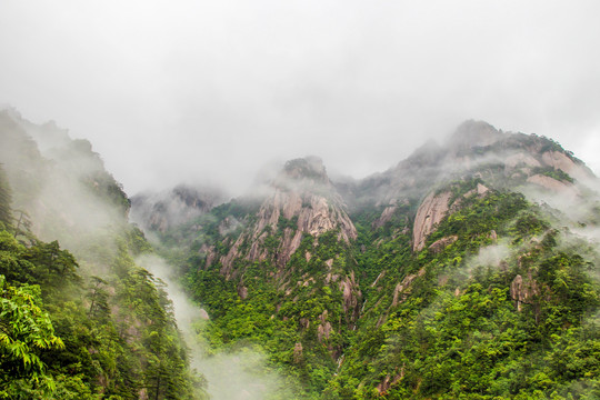 黄山晨雾