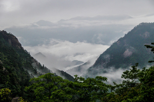 高山云雾