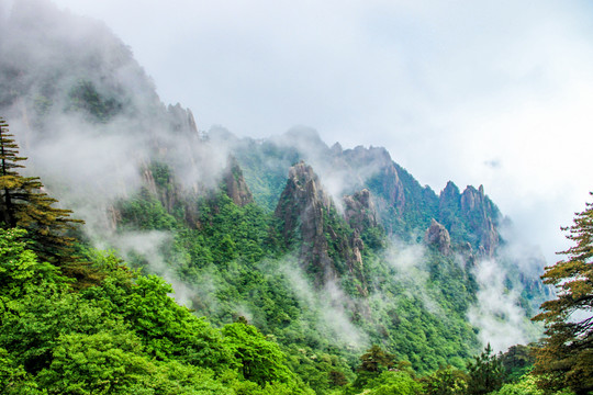 黄山晨雾