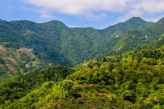 黄山晨雾