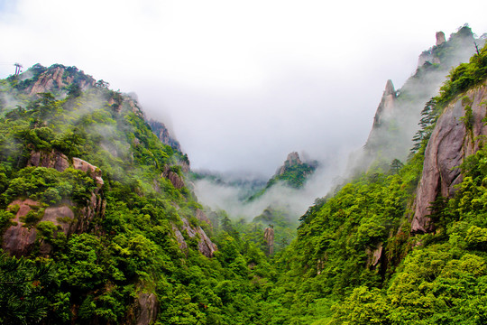 黄山晨雾