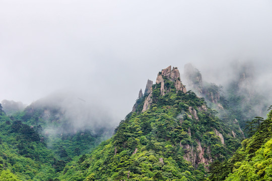 黄山晨雾