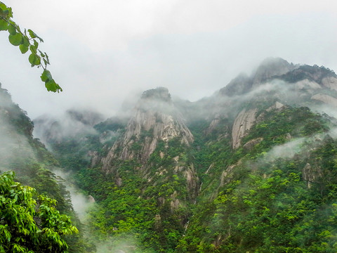 黄山晨雾