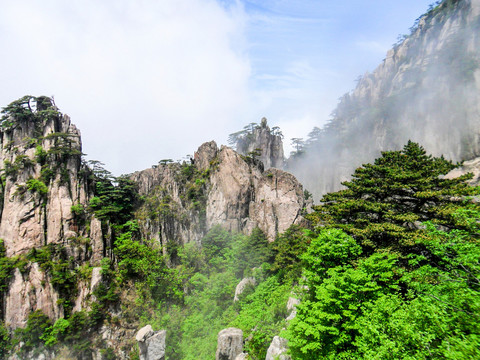 高山云雾