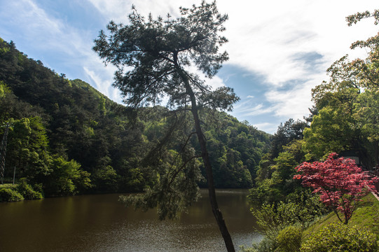 湖南湘潭韶山水库