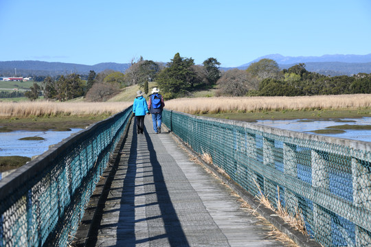 墨尔本天鹅湾湿地公园浮桥