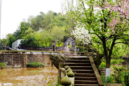 四川美术学院