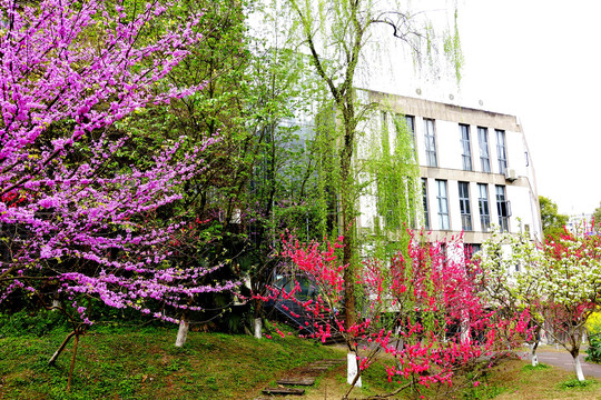 四川美术学院