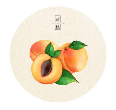 手繪水果黃桃