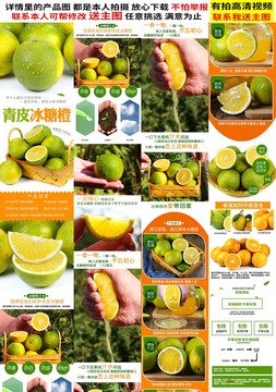 冰糖橙詳情