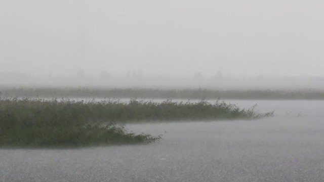 暴雨