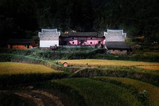 乡村风景