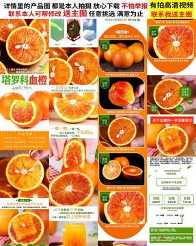 血橙詳情