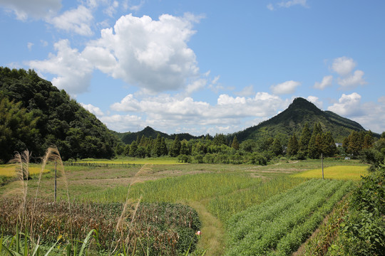 美丽乡村