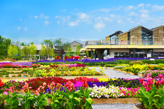 园林风景