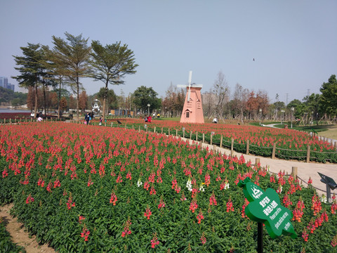 公園風景