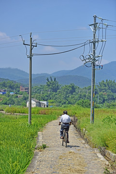 龙川苏堤