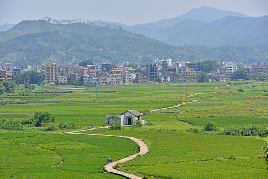 龙川佗城苏堤