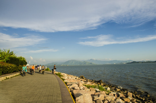 深圳湾红树林公园