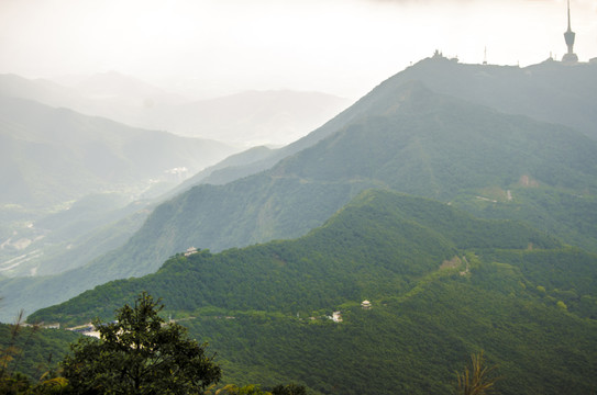 深圳梧桐山