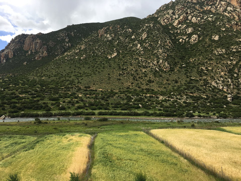 西藏风景