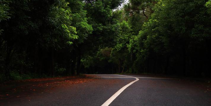 树林里的柏油路