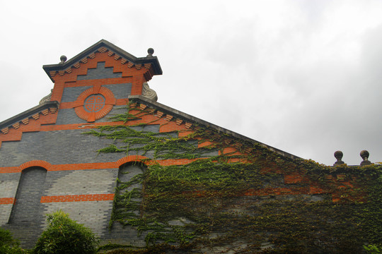 爬山虎海派建筑