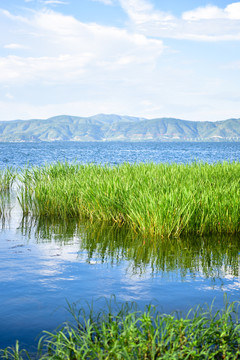 海舌公园