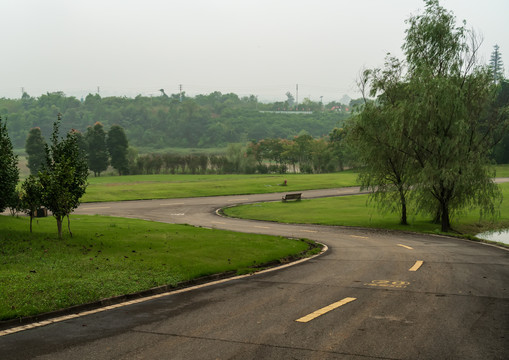 高尔夫球场园林绿草地蜿蜒公路