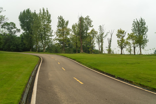 高尔夫球场园林绿草地蜿蜒公路