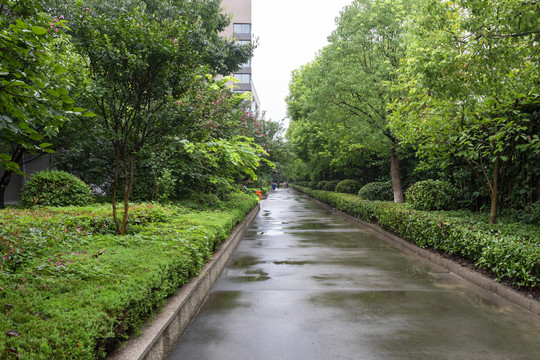 医药学院