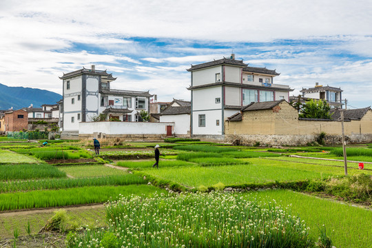 新农村建设