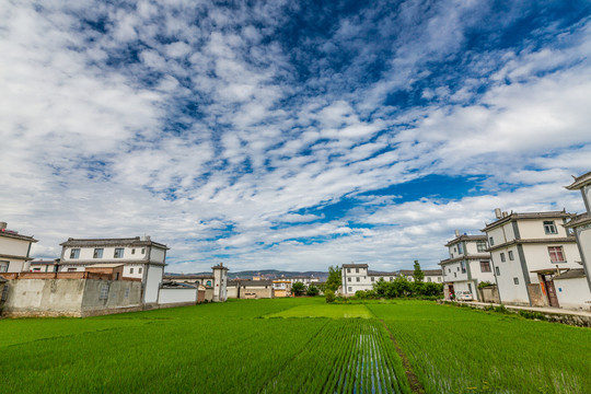 新农村建设