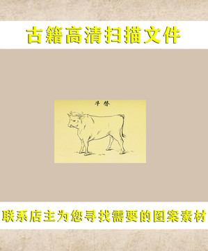 艾啟蒙牛替
