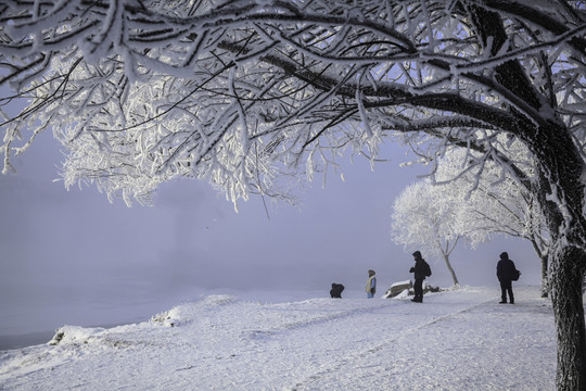 雪景