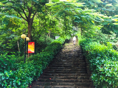 公园登山道