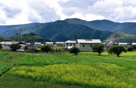 香格里拉田园风光