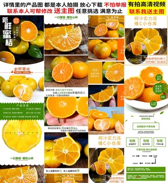 蜜桔詳情