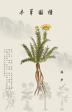 漏蘆