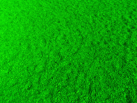 绿色沙子路面