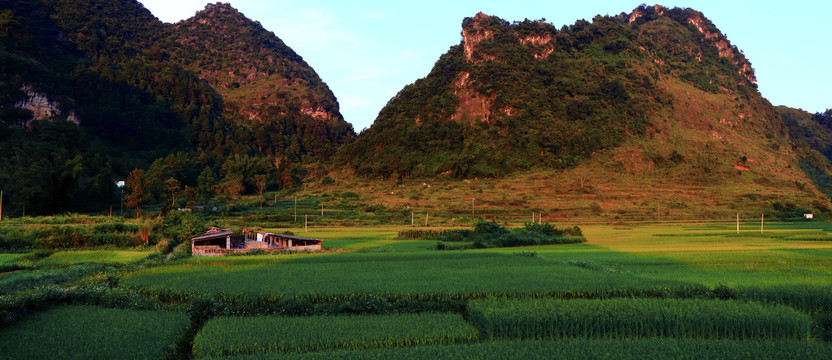 田园风光